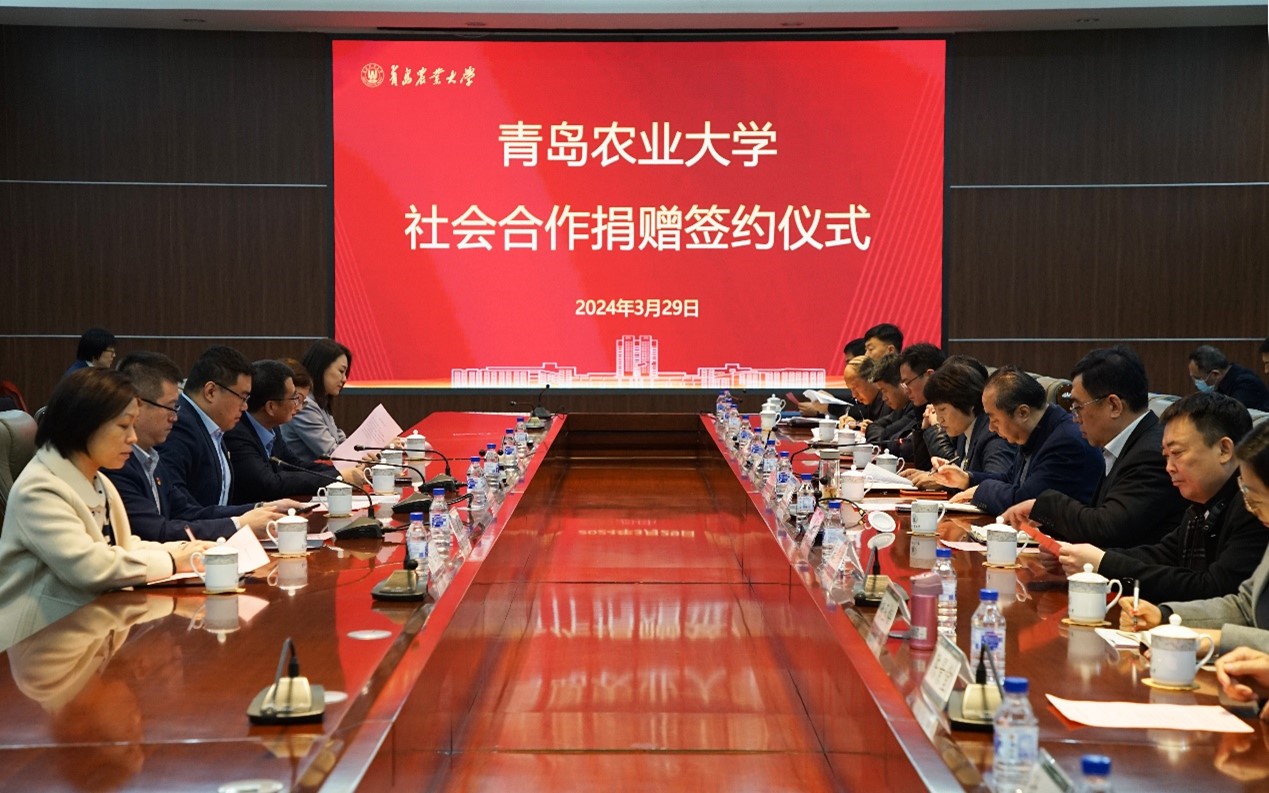 教育发展基金会